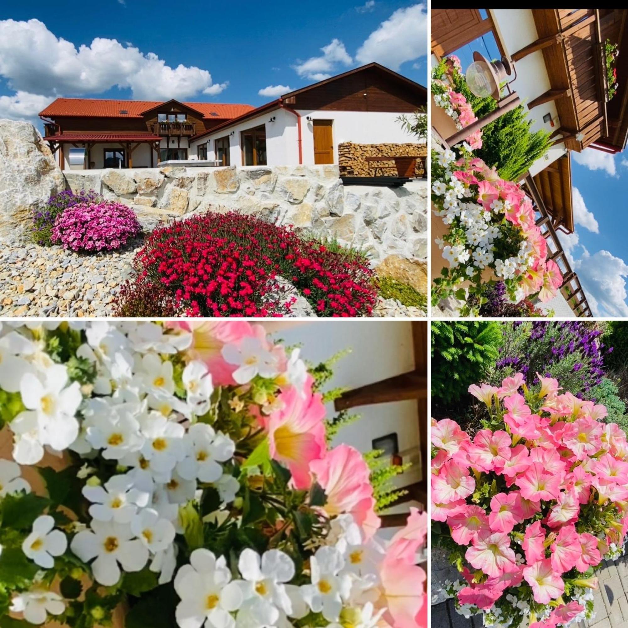 Gold Horse Vendeghaz Hotel Szilvasvarad Bagian luar foto