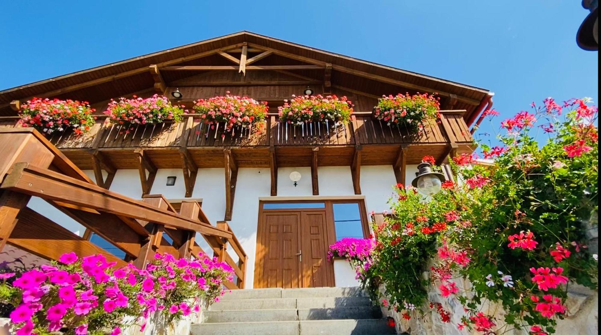 Gold Horse Vendeghaz Hotel Szilvasvarad Bagian luar foto