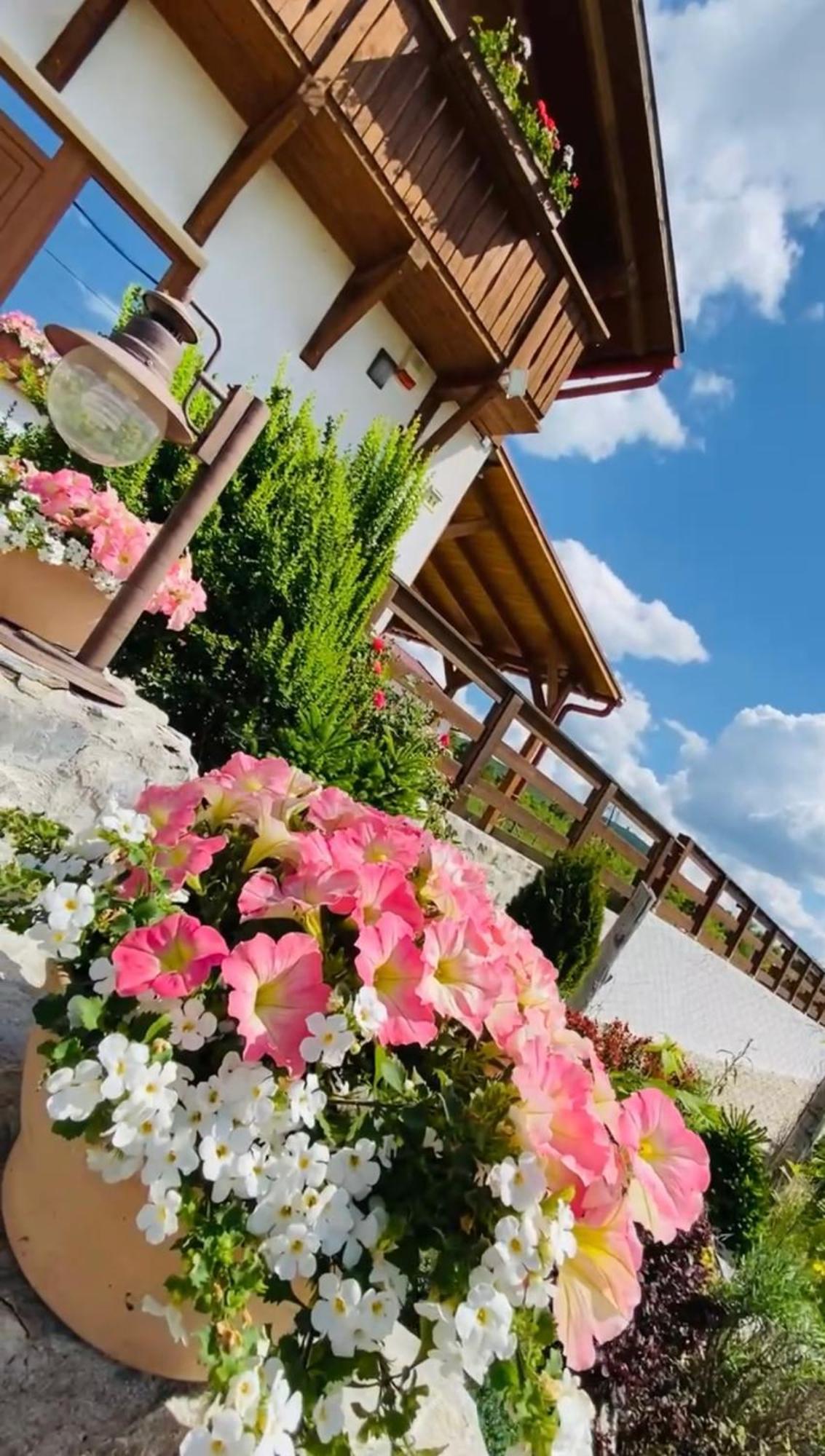 Gold Horse Vendeghaz Hotel Szilvasvarad Bagian luar foto
