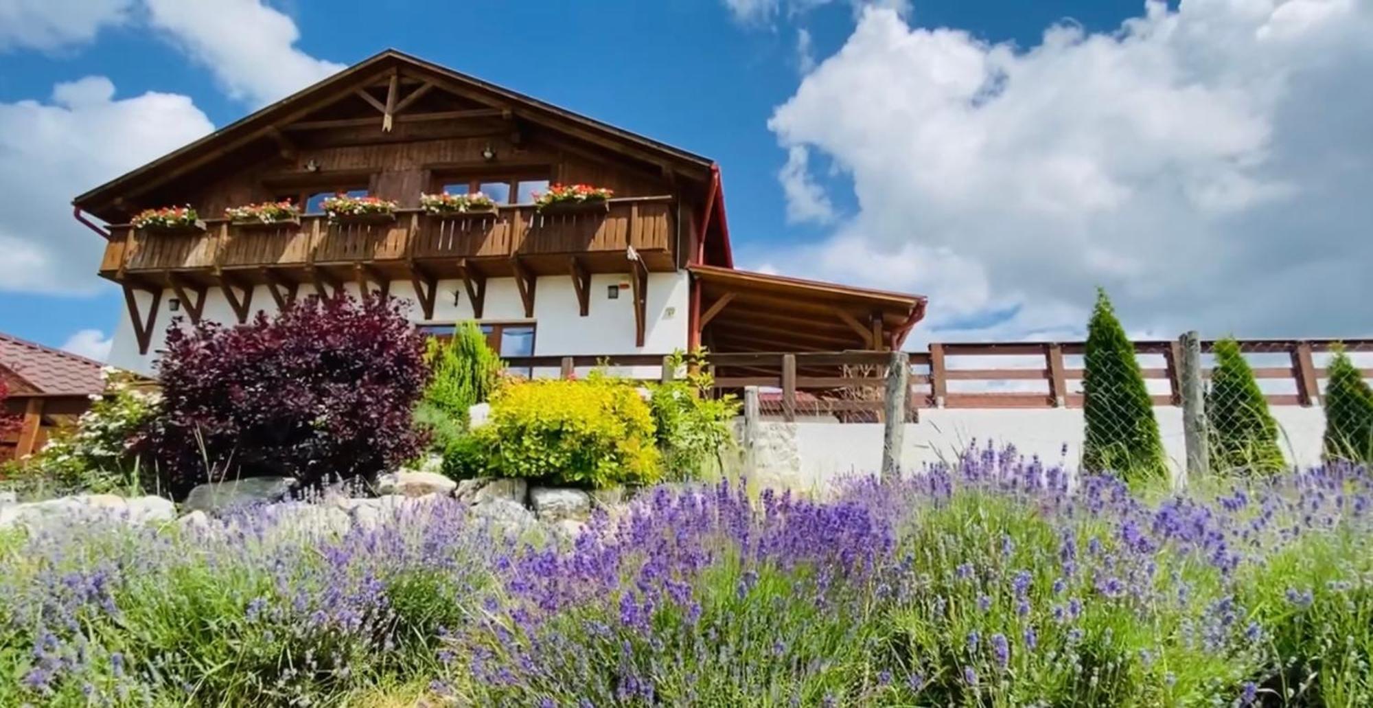 Gold Horse Vendeghaz Hotel Szilvasvarad Bagian luar foto